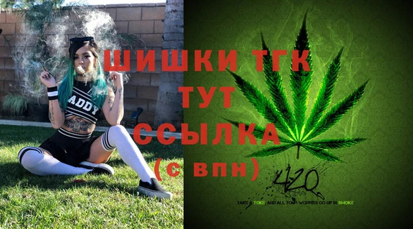 герыч Бородино